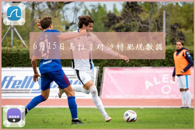 6月15日乌拉圭对沙特犯规数据