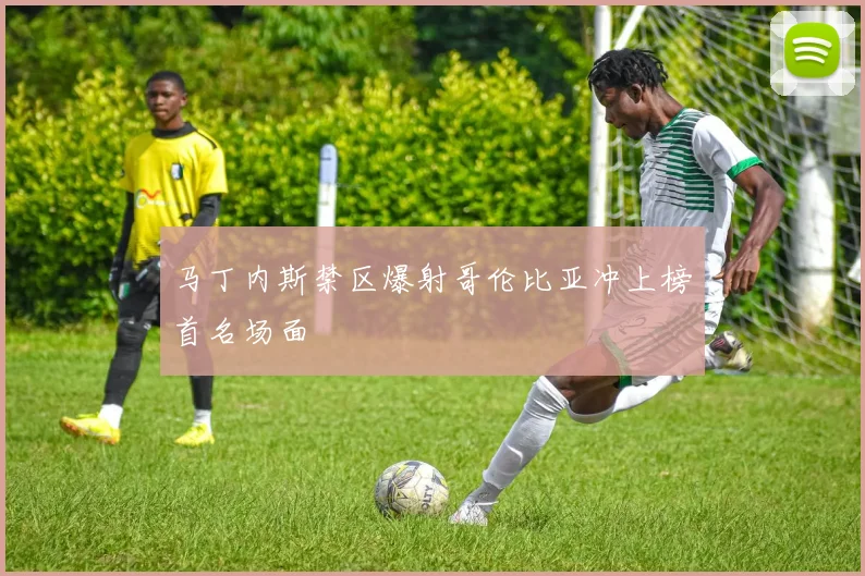 马丁内斯禁区爆射哥伦比亚冲上榜首名场面