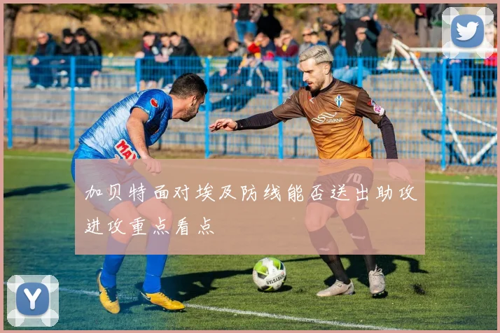 加贝特面对埃及防线能否送出助攻进攻重点看点