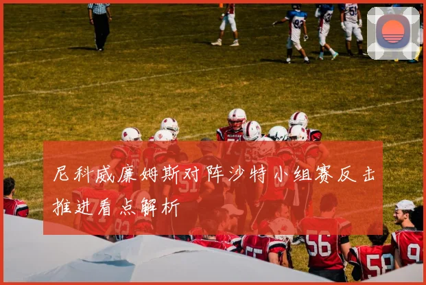 尼科威廉姆斯对阵沙特小组赛反击推进看点解析