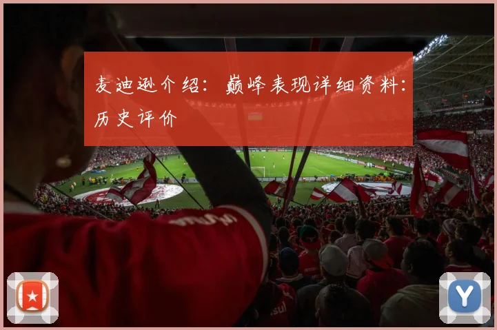 麦迪逊介绍:巅峰表现详细资料:历史评价
